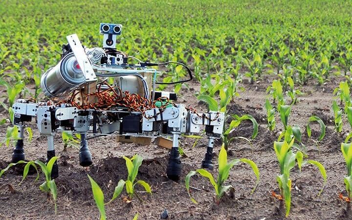 IoT in Agriculture: New Product Launches to Increase Productivity