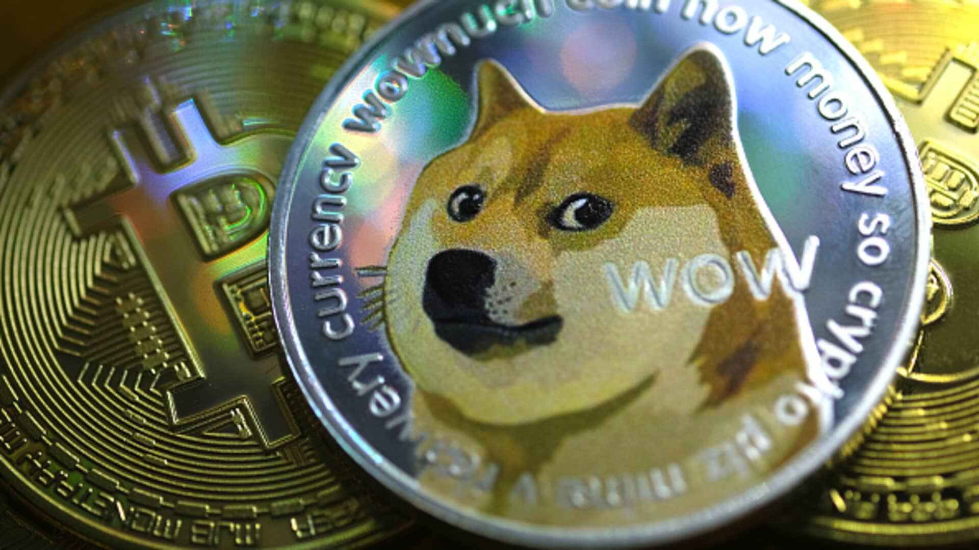 Is DOGE Sustainable to Invest for Long-Term