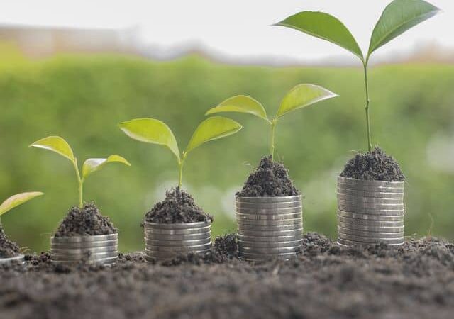 Your Eco-Friendly Guide To Ethical Banking