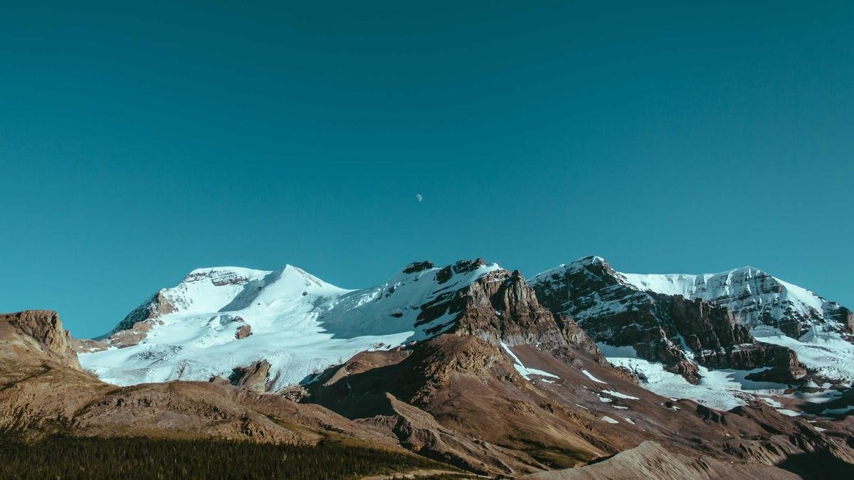 The Benefits of Investing in Custom Software Development