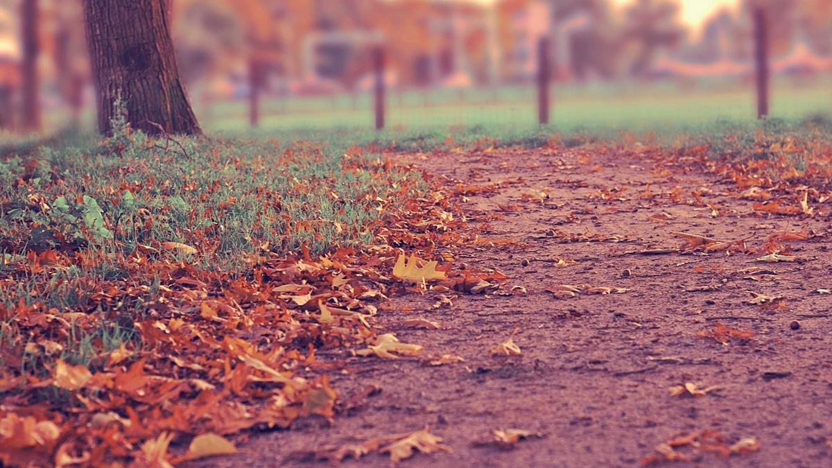 Why Finding the Video Production Companies Near Me Is Only the First Step