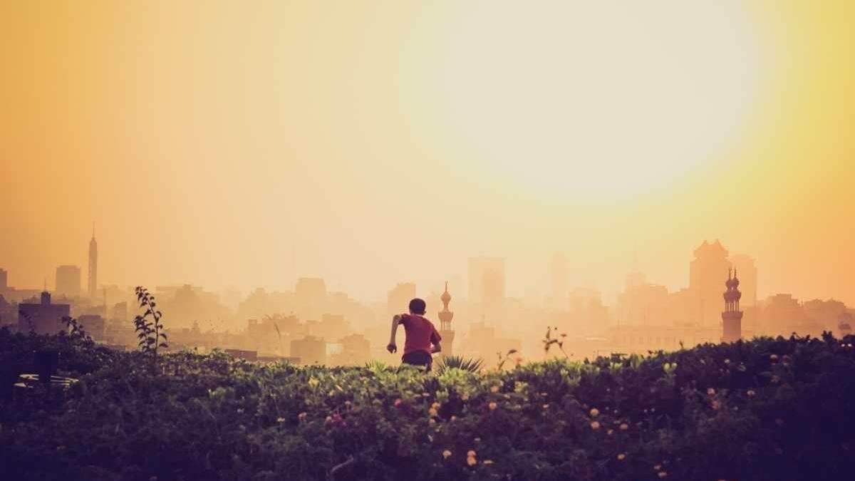 Exploring Creative Possibilities with Instagram API