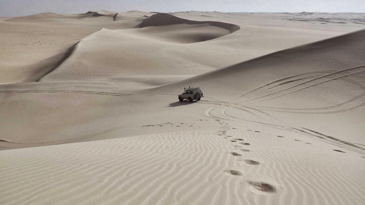 Authenticity Matters: Professional Writer vs. AI Writing in Avoiding Plagiarism