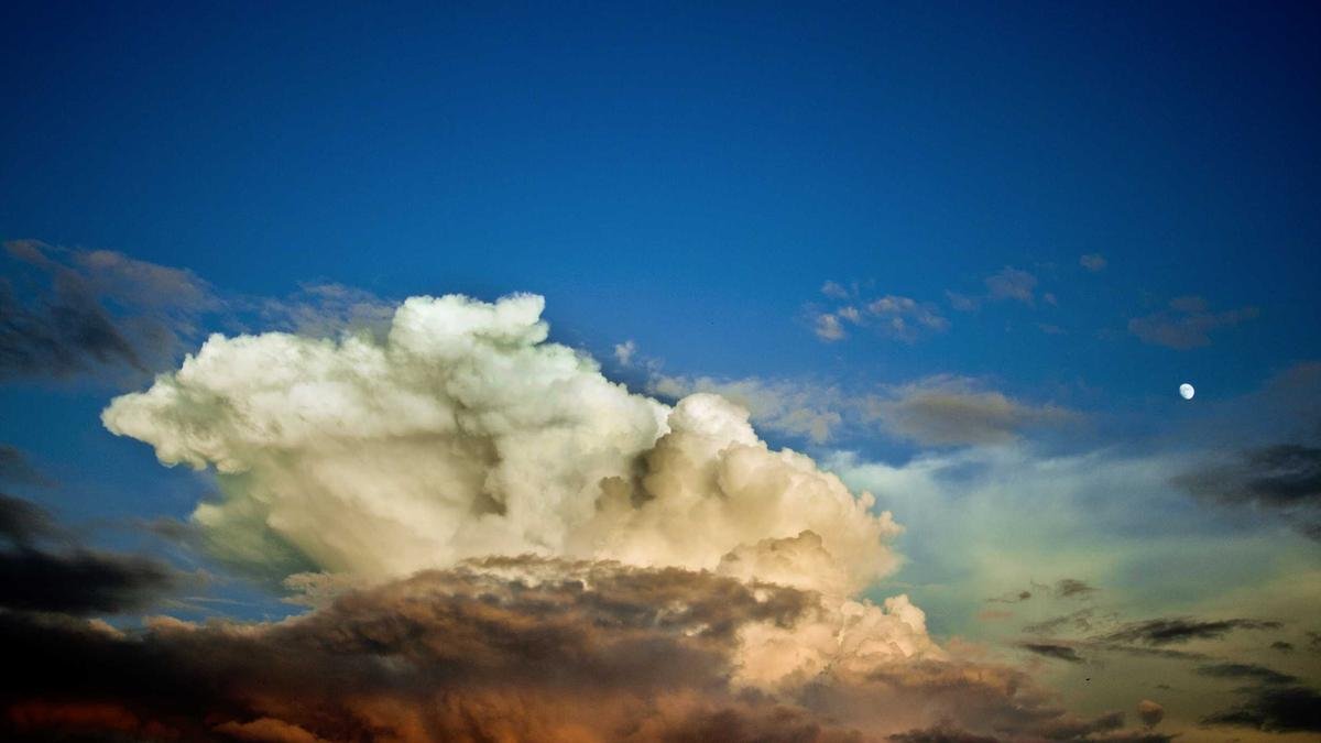An Introduction to Salesforce Forms – A Definitive Guide