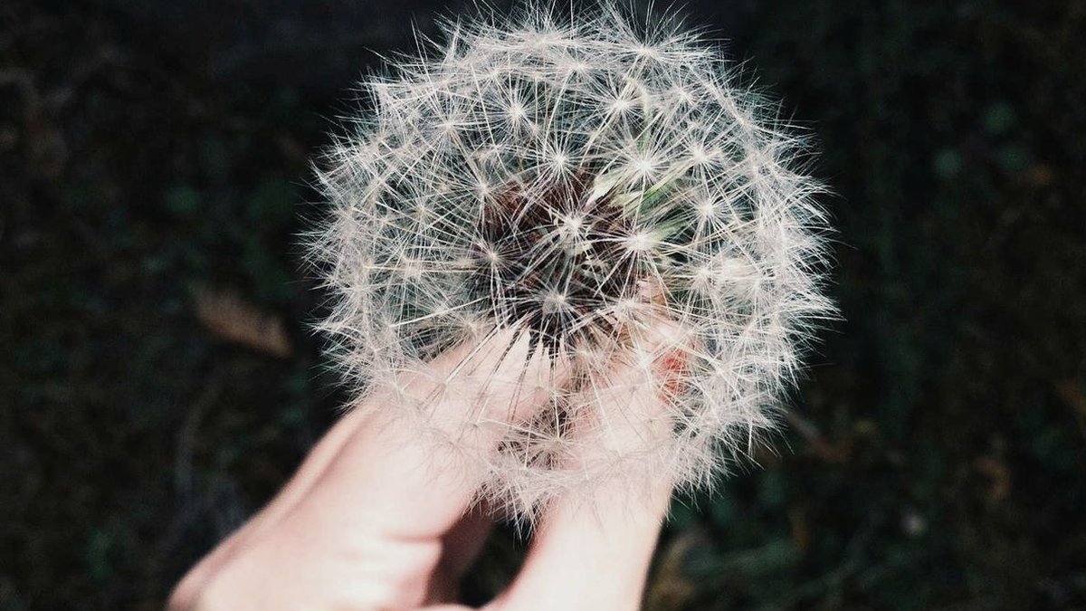 Navigating the Startup Landscape: Essential Tips for Early-Stage Entrepreneurs
